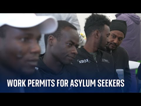 Backlogs see increasing number of asylum seekers granted work permits