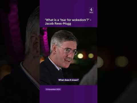 “What is a ‘tsar for wokedom’? – Jacob Rees-Mogg
