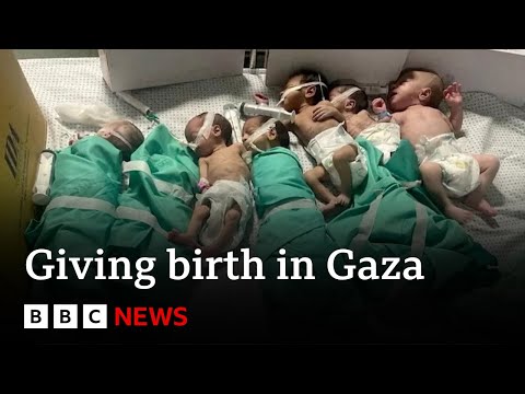 Gaza hospitals caught up in intense fighting – BBC News