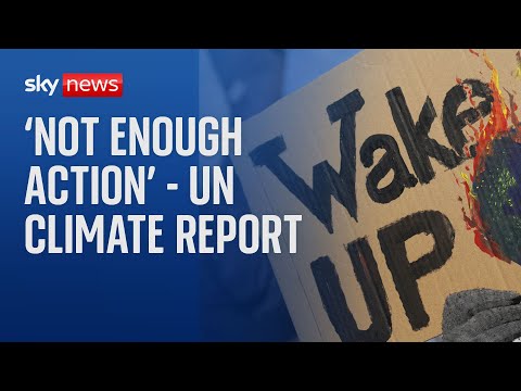 UN report reveals nations are falling short on climate change goals