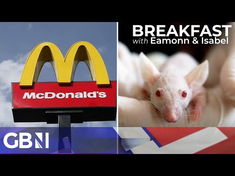 McDonald’s hit by mice | Connor Tomlinson calls for ‘public flogging’ for pro-Palestine protestors