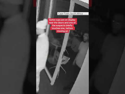 Burglary at South Africa Rugby Union’s offices but World Cup trophy is not taken