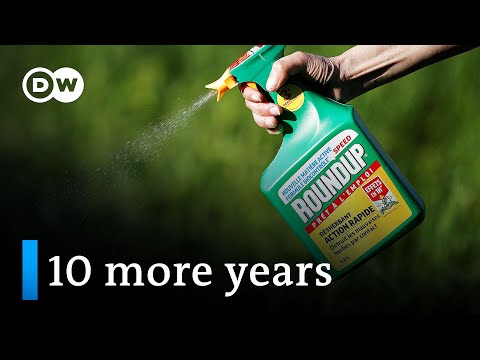 Controversial weedkiller used in “Roundup” approved for 10 more years in the EU | DW Business
