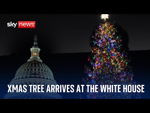Watch live: Christmas tree arrives at the White House