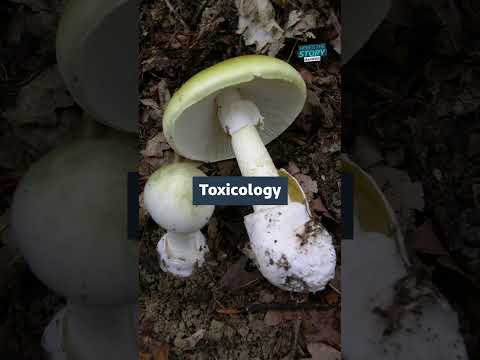 Australian host of ‘poisoned’ mushroom lunch that left three dead charged with murder #ITVNews