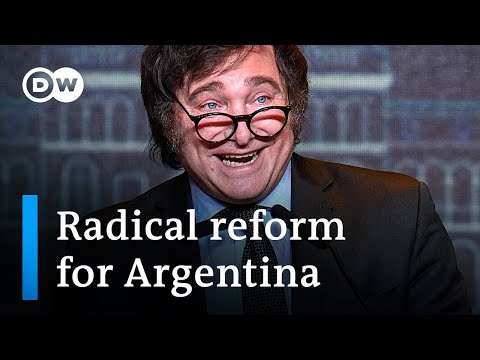 Chaos or prosperity: How will Argentina’s new president Milei’s radical ideas change the country?