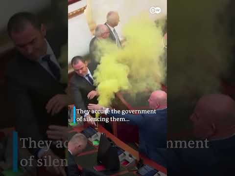 Smoke bombs set off in Albania’s Parliament | DW News