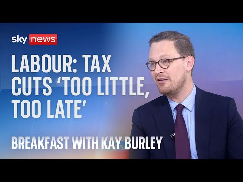 Autumn Statement 2023: Potential tax cuts ‘too little, too late’, Labour frontbencher says