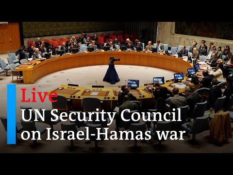 Watch live: UN Security Council discusses Israel-Hamas war | DW News