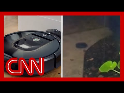 Doorbell camera captures robot vacuum’s escape