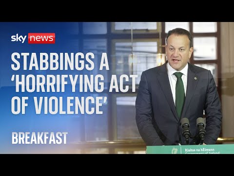 Dublin stabbings ‘horrifying act of violence’, says Taoiseach Leo Varadkar