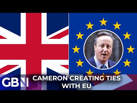 David Cameron says UK should be closer with EU – ‘He has NO democratic mandate to take us back in!’