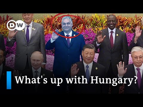 Hungary’s Orban and his political alliances | DW News