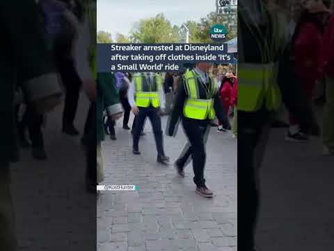 Streaker arrested at Disneyland after taking off clothes inside ‘It’s a Small World’ ride #disney
