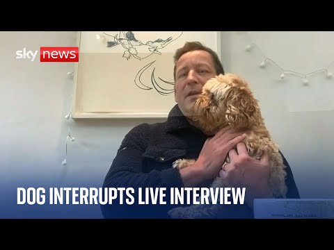 Dog interrupts live interview with Lord Vaizey talking about Elgin Marbles