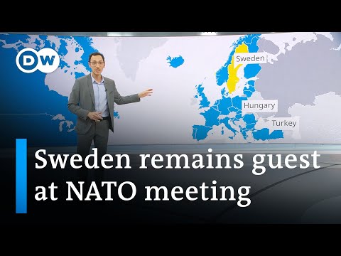 What is the status of Sweden’s NATO bid? | DW News