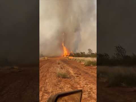 ‘Firenado’ swirls through field