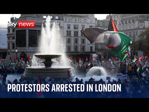 UK: Pro-Palestinian protesters arrested as sit-in brings train station to standstill