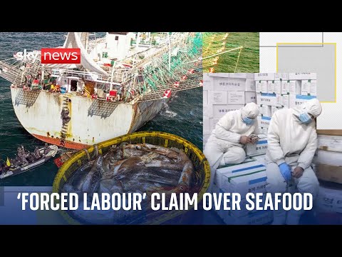 Seafood in the UK could be a product of illegal working conditions, investigation finds