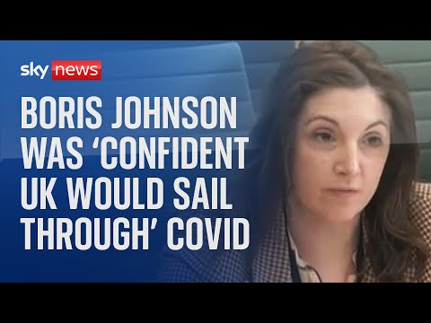 COVID Inquiry: Top former aides to Boris Johnson give evidence