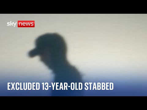 School dropouts: Meet the 13-year-old stabbing victim growing up in Croydon