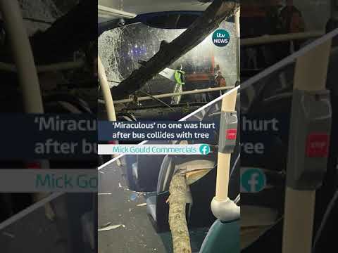‘Miraculous’ no one was hurt after bus collides with tree #kent #bus