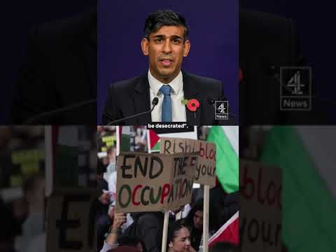 Pro-Palestinian protest will go ahead in London on Armistice Day