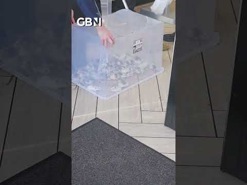 Second Birmingham McDonald’s hit by pro-Palestine mice attack #Palestine #Israel #Birmingham #GBNews