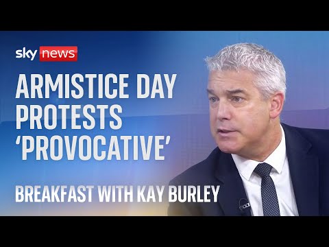 Armistice Day ‘wrong day’ for pro-Palestine protest | Israel-Hamas war