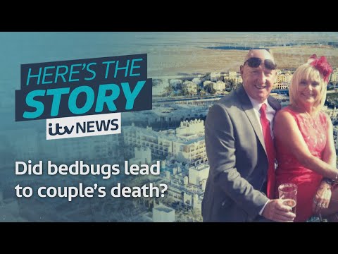Did bedbugs lead to this couple’s death? | ITV News