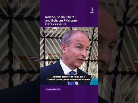 Ireland, Spain, Malta and Belgium PMs urge Gaza ceasefire