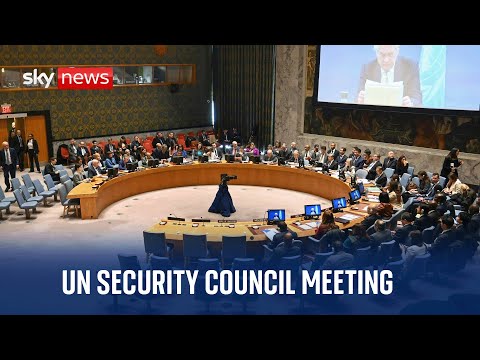 Watch live: UN Security Council on peace and security in Africa