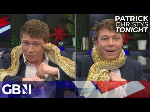 Patrick celebrates Farage’s performance Down Under & causes chaos with Honey the Burmese Python