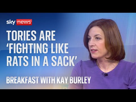 Tories ‘fighting like rats in a sack’ instead of fixing asylum system – Labour
