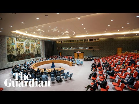 UN holds briefing on humanitarian crisis in Gaza – watch live
