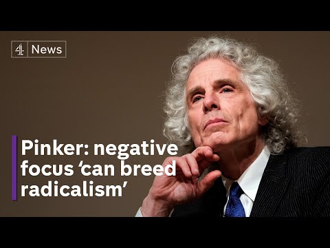 Prof. Steven Pinker: journalism shouldn’t be biassed ‘towards the negative’