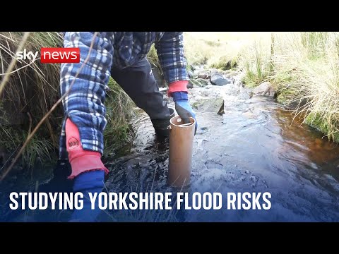 How nature might reduce flood risks in the Yorkshire Dales | Climate Show with Tom Heap