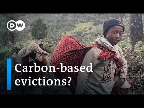 Kenya’s indigenous Ogiek evicted from ancestral lands for carbon credits | DW News