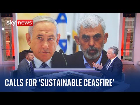 Lord Cameron calls for a ‘sustainable ceasefire’ | Israel-Hamas War