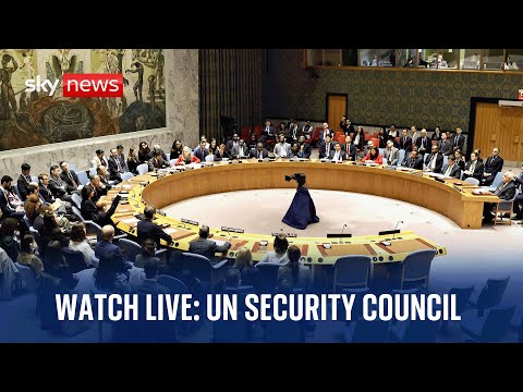 Watch UN Security Council live | Wednesday 20 December 2023