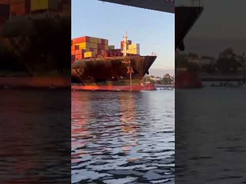Melbourne: Pro-Palestinian protesters attempt to block Israeli-linked ship using kayaks