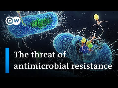 5 million annual deaths: Why antimicrobial resistance is a global public health threat | DW News