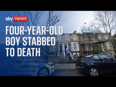 Woman arrested on suspicion of murder after boy, 4, stabbed to death in Hackney, east London