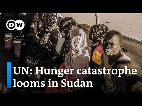 UN forced to suspend aid deliveries in parts of Sudan over civil war | DW News