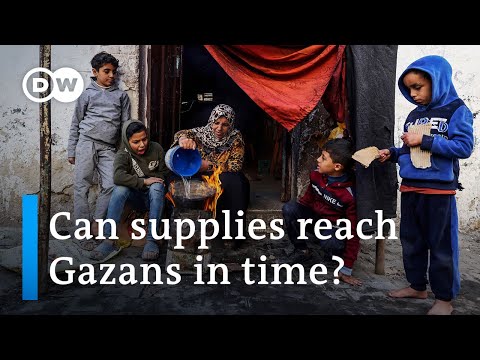 Gaza: Almost entire population facing hunger crisis according to UN-backed report | DW News