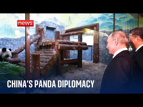 What China’s pandas tell us about the country’s international relations