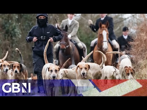 ‘This is an ATTACK on a way of life!’ | Calls for ban on fox hunting blasted by Bonner