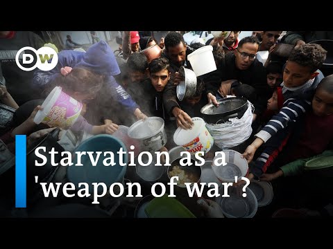 Israel’s army chief says Gaza war to last ‘many more months’ |  DW News