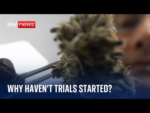 Still no medical cannabis trials for NHS – five years on from legalisation