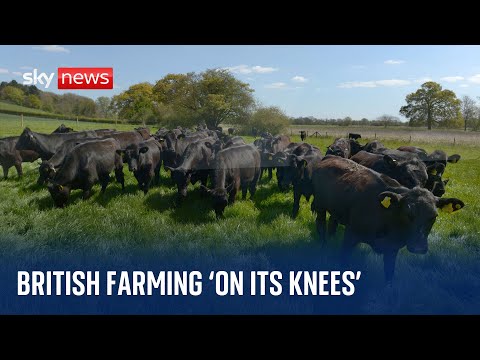 UK farming ‘on its knees’ as supermarkets are urged to show fairness